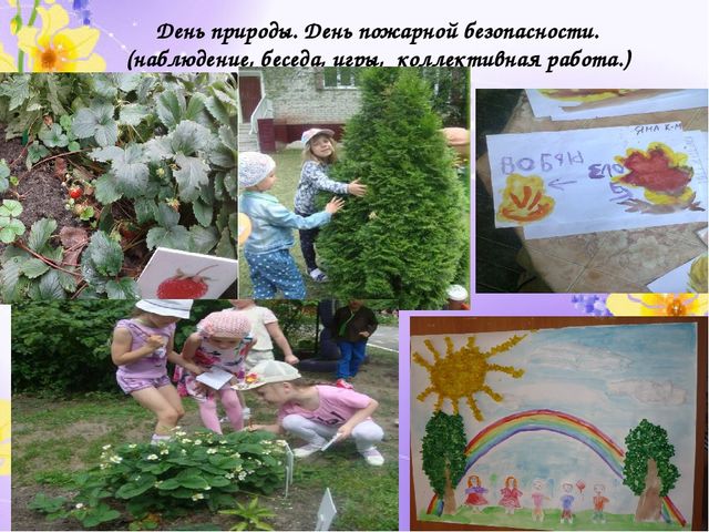 Отчет по проделанной работе летом