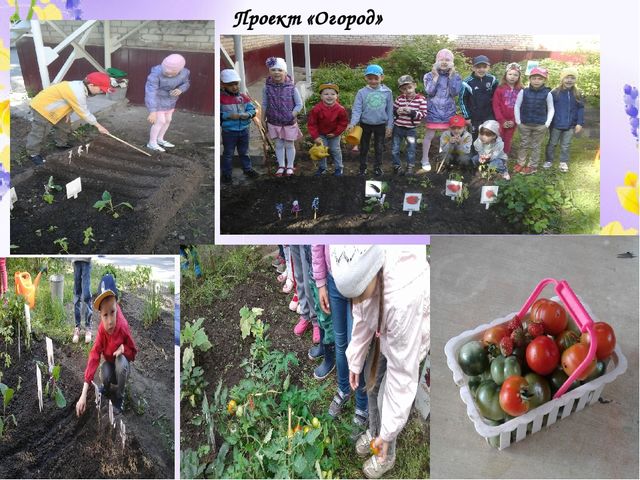 Отчет по проделанной работе летом