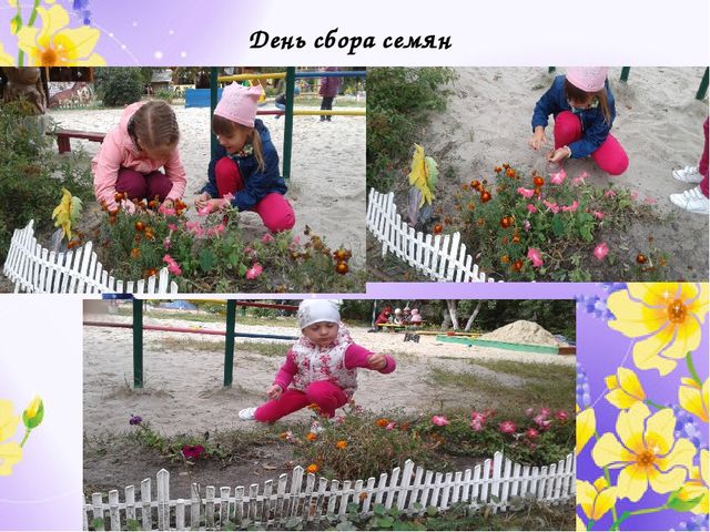 Отчет по проделанной работе летом