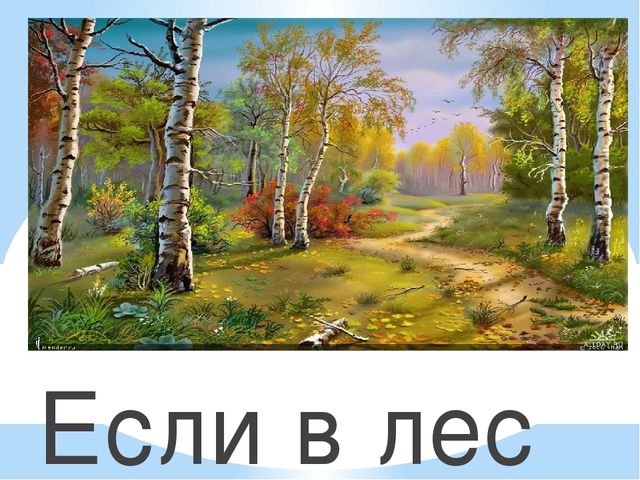 Здравствуй лес, дремучий лес...