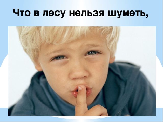 Здравствуй лес, дремучий лес...