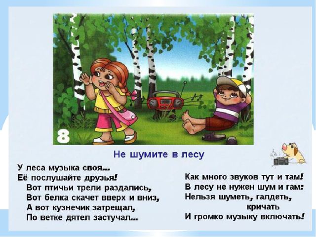Здравствуй лес, дремучий лес...