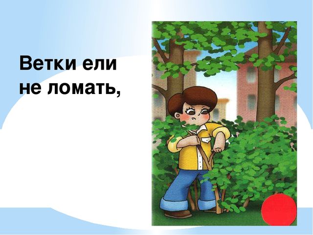 Здравствуй лес, дремучий лес...