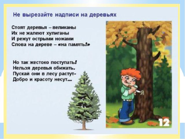 Здравствуй лес, дремучий лес...