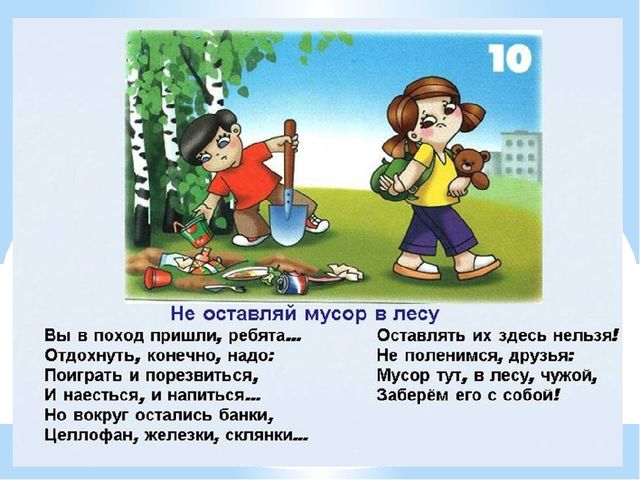 Здравствуй лес, дремучий лес...