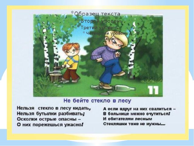 Здравствуй лес, дремучий лес...