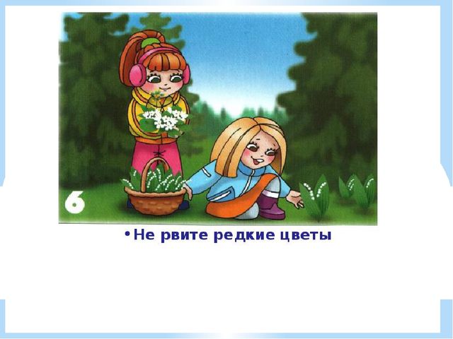 Здравствуй лес, дремучий лес...