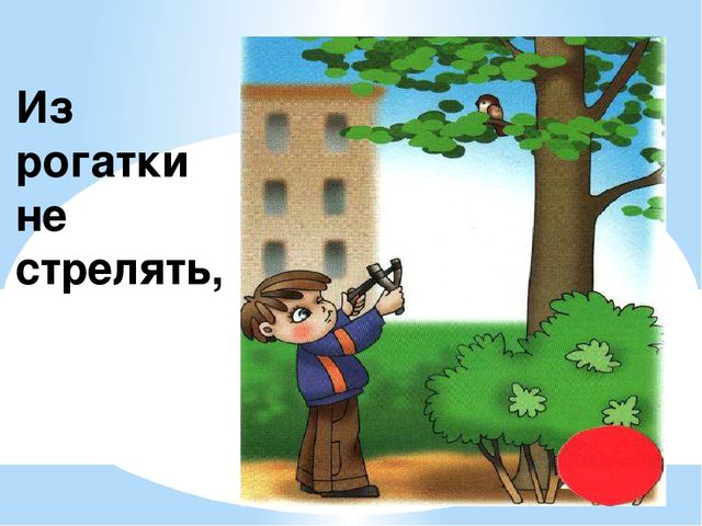 Здравствуй лес, дремучий лес...