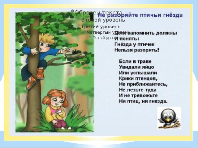 Здравствуй лес, дремучий лес...