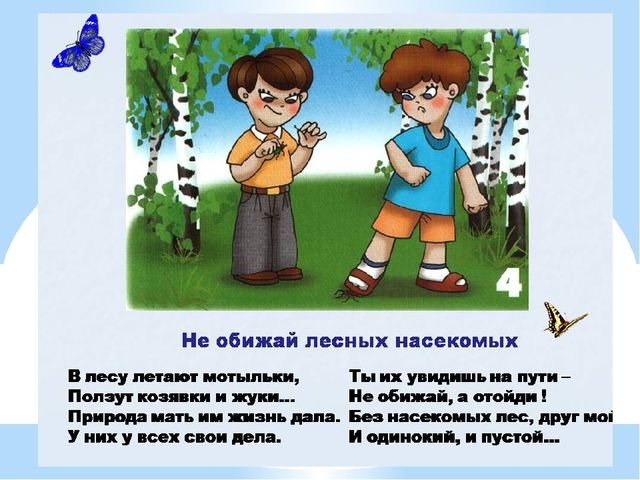 Здравствуй лес, дремучий лес...