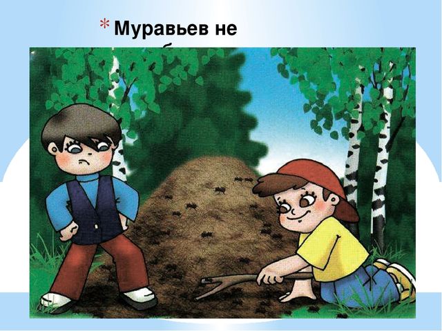 Здравствуй лес, дремучий лес...