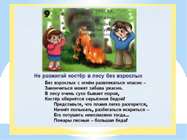 Здравствуй лес, дремучий лес...