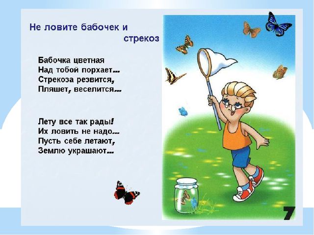 Здравствуй лес, дремучий лес...