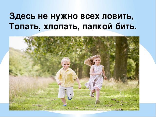 Здравствуй лес, дремучий лес...