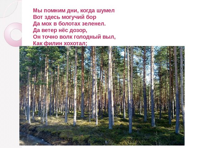 Краснокамск - мой родной город