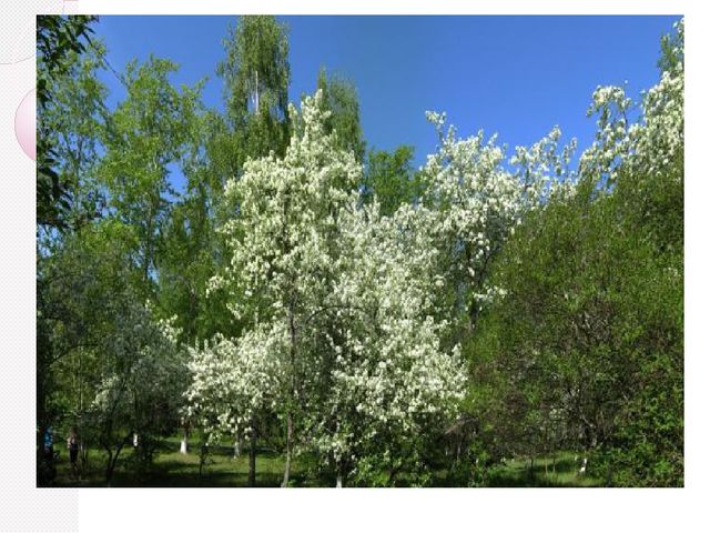 Краснокамск - мой родной город