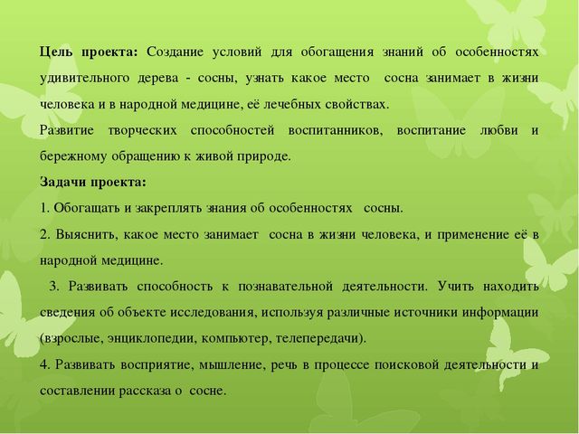 Исследовательская работа по познавательному развитию: " Удивительное дерево - сосна"