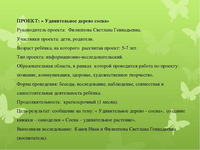 Исследовательская работа по познавательному развитию: " Удивительное дерево - сосна"