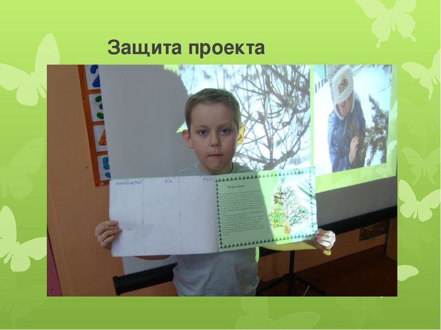 Исследовательская работа по познавательному развитию: " Удивительное дерево - сосна"