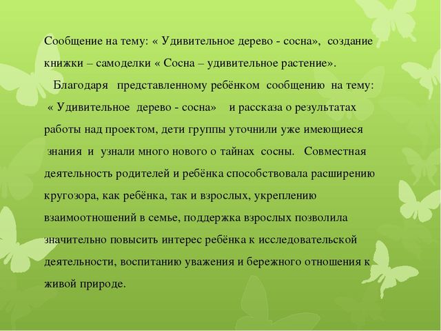 Исследовательская работа по познавательному развитию: " Удивительное дерево - сосна"
