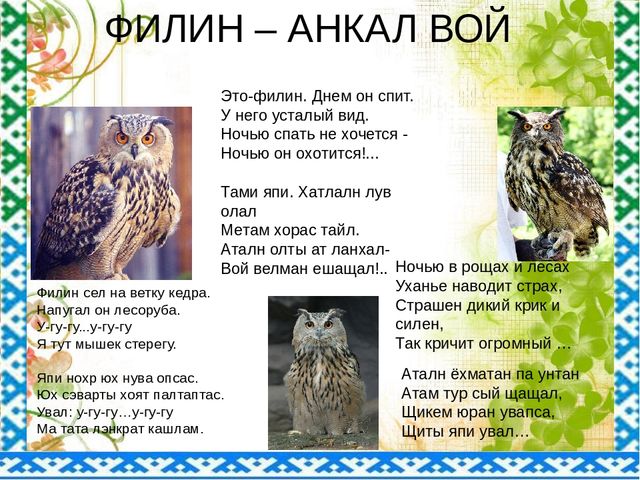 "Птицы ЯНАО и Шурышкарского района"