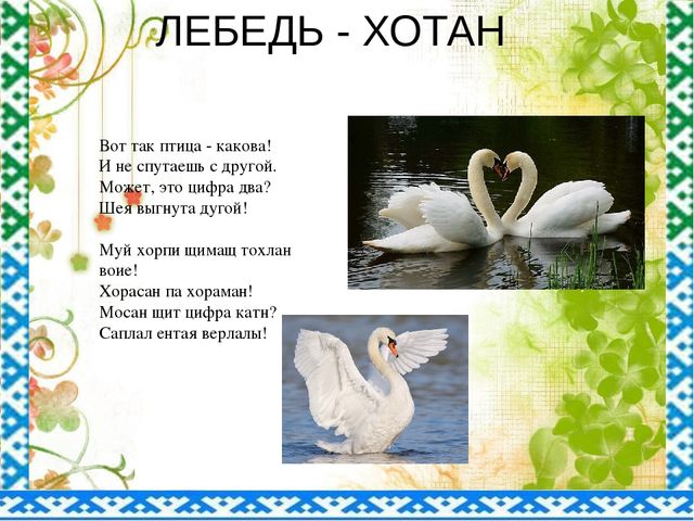 "Птицы ЯНАО и Шурышкарского района"