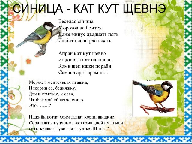 "Птицы ЯНАО и Шурышкарского района"