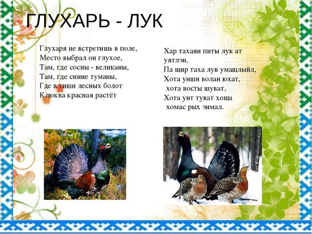 "Птицы ЯНАО и Шурышкарского района"