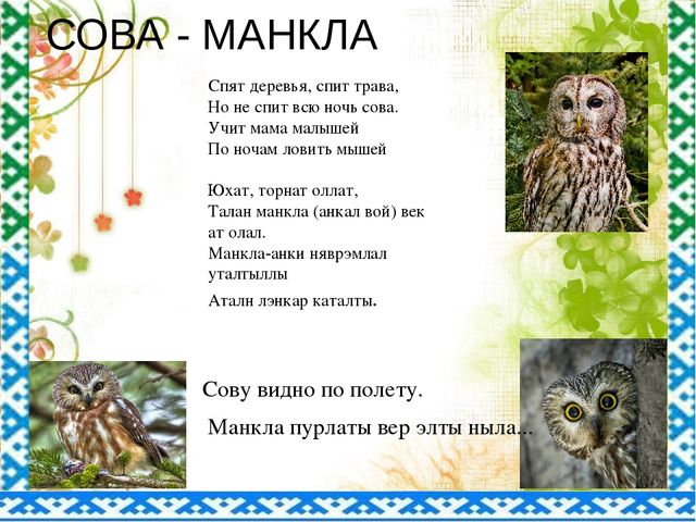 "Птицы ЯНАО и Шурышкарского района"