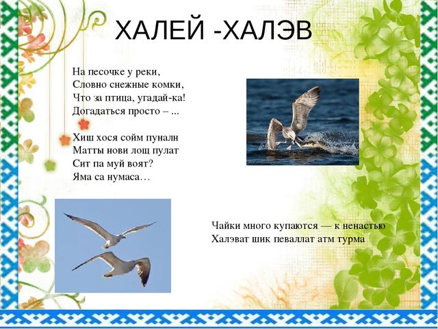 "Птицы ЯНАО и Шурышкарского района"
