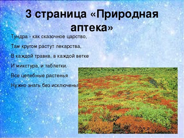 Презентация:"Мы на севере живём"