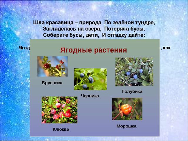 Презентация:"Мы на севере живём"