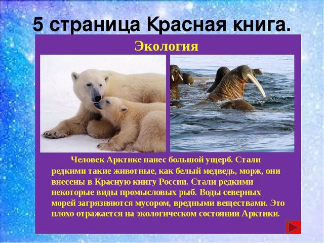Презентация:"Мы на севере живём"
