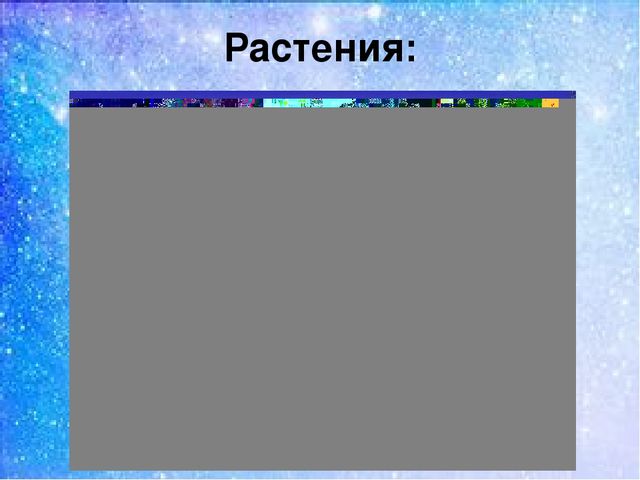 Презентация:"Мы на севере живём"