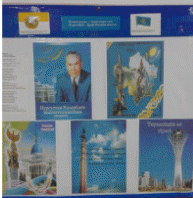 Picture 11