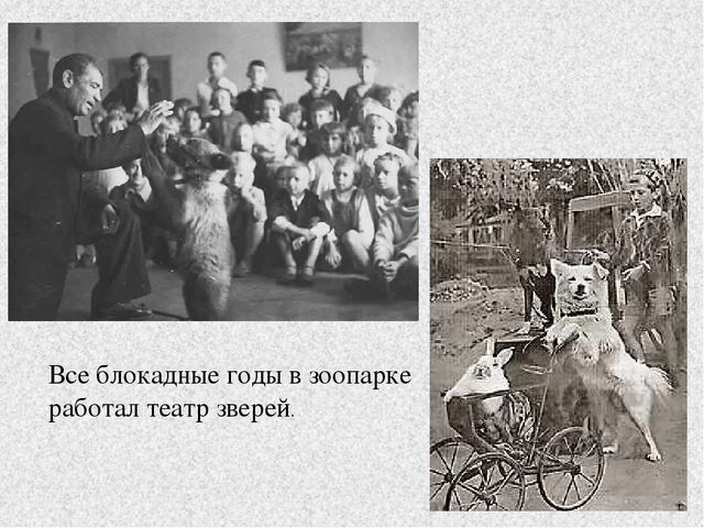 Презентация к занятию "Блокада Ленинграда"
