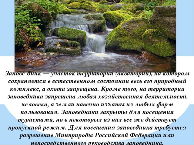 Презентация на тему "Заповедники, заказники и национальные парки Заб. края".
