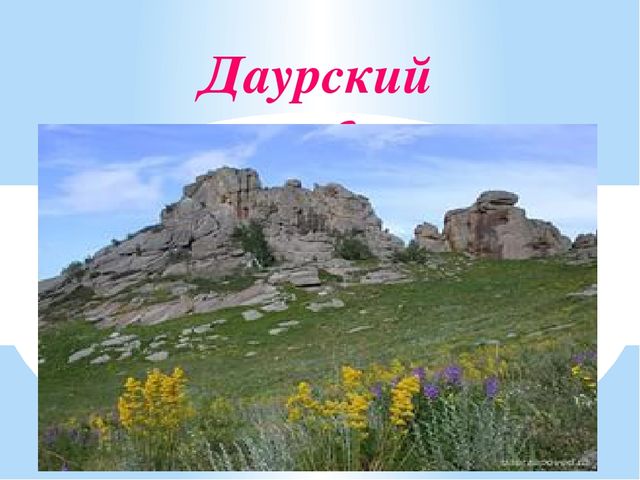 Презентация на тему "Заповедники, заказники и национальные парки Заб. края".