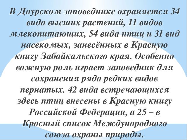 Даурский заповедник сообщение. Даурский заповедник презентация. Рассказ о Даурском заповеднике. Даурский заповедник Забайкальского края сообщение кратко.