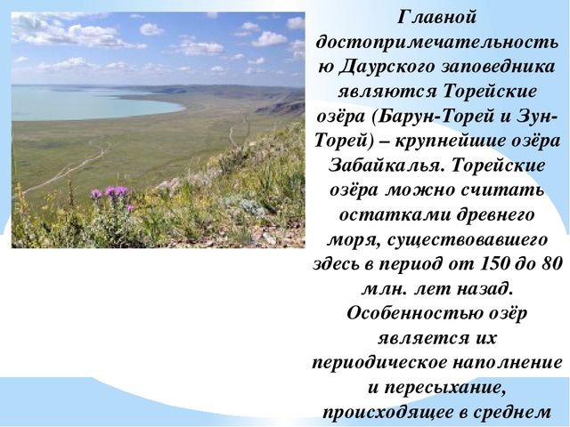 Название заповедников расположенных в зоне степей. Забайкалье Даурский заповедник рассказ. Заповедники Забайкальского края сообщение. Заповедники Забайкалья сообщение. Даурский заповедник Забайкальского края сообщение.