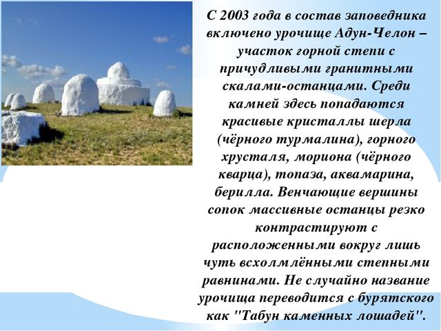 Презентация на тему "Заповедники, заказники и национальные парки Заб. края".