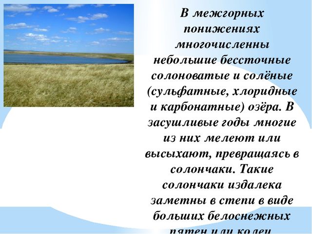 Презентация на тему "Заповедники, заказники и национальные парки Заб. края".