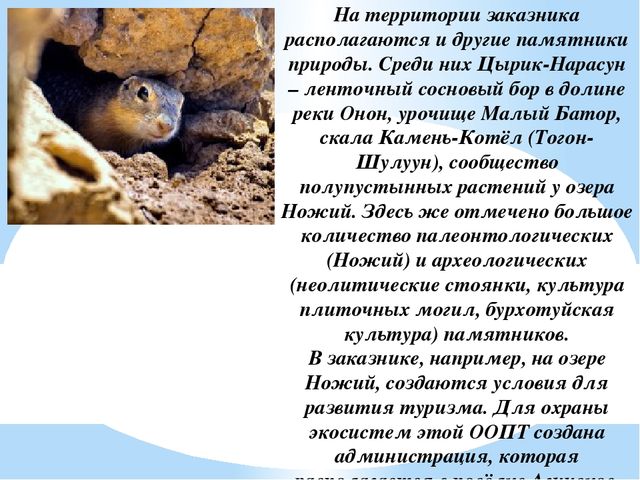 Презентация на тему "Заповедники, заказники и национальные парки Заб. края".
