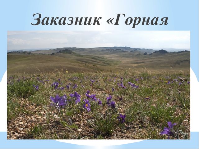 Презентация на тему "Заповедники, заказники и национальные парки Заб. края".