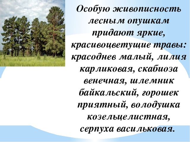 Презентация на тему "Заповедники, заказники и национальные парки Заб. края".