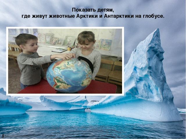 Презентация по теме "Животные Арктики и Антарктики" Итоговое занятие в средней группе (январь).Лепка.