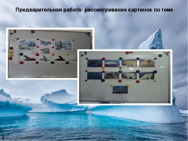Презентация по теме "Животные Арктики и Антарктики" Итоговое занятие в средней группе (январь).Лепка.