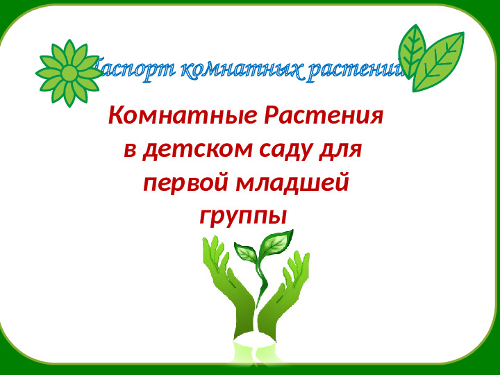 Презентация по экологии на тему " Паспорт комнатных растений для первой младшей группы"