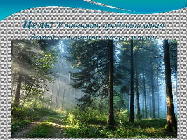 Презентация по экологии на тему "Лес в жизни человека для детей 6- 7 лет"