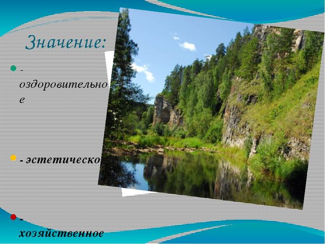 Презентация по экологии на тему "Лес в жизни человека для детей 6- 7 лет"